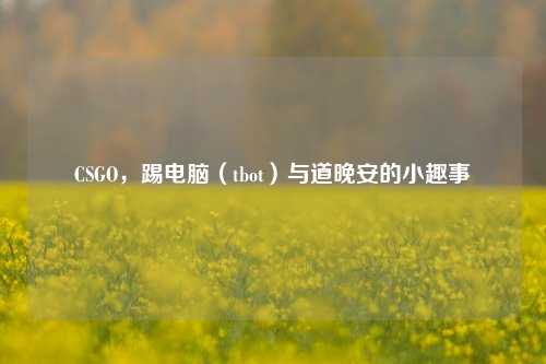 CSGO,踢电脑(tbot)与道晚安的小趣事