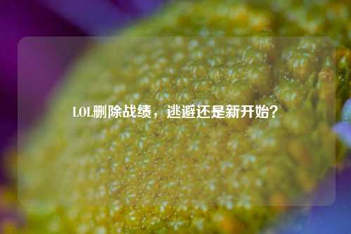 LOL删除战绩,逃避还是新开始?