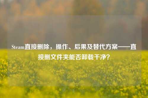 Steam直接删除,操作、后果及替代方案——直接删文件夹能否卸载干净?