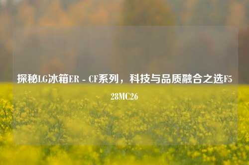 探秘LG冰箱ER - CF系列,科技与品质融合之选F528MC26