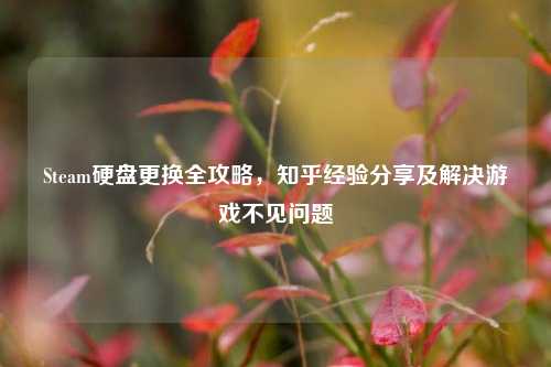 Steam硬盘更换全攻略,知乎经验分享及解决游戏不见问题