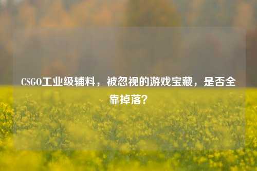 CSGO工业级辅料,被忽视的游戏宝藏,是否全靠掉落?