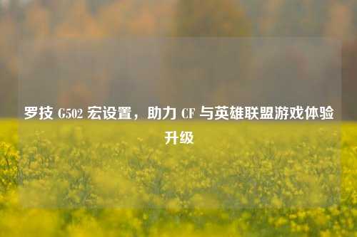罗技 G502 宏设置,助力 CF 与英雄联盟游戏体验升级