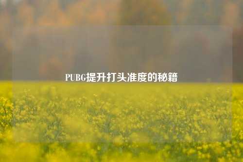 PUBG提升打头准度的秘籍