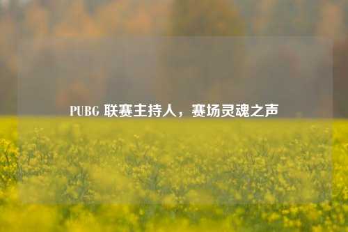 PUBG 联赛主持人,赛场灵魂之声
