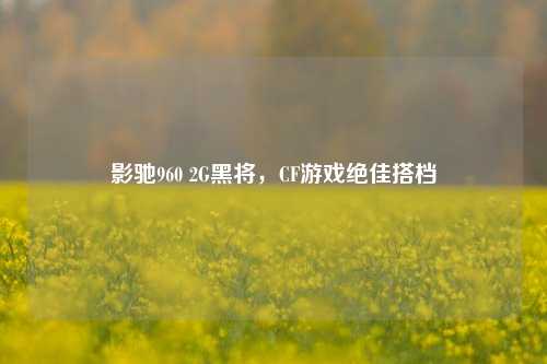 影驰960 2G黑将,CF游戏绝佳搭档