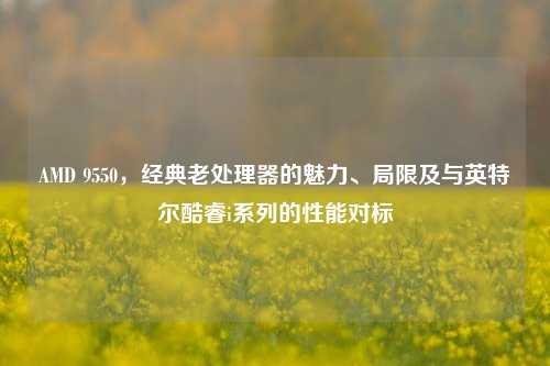 AMD 9550,经典老处理器的魅力、局限及与英特尔酷睿i系列的性能对标