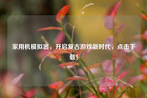 家用机模拟器,开启复古游戏新时代,点击下载!
